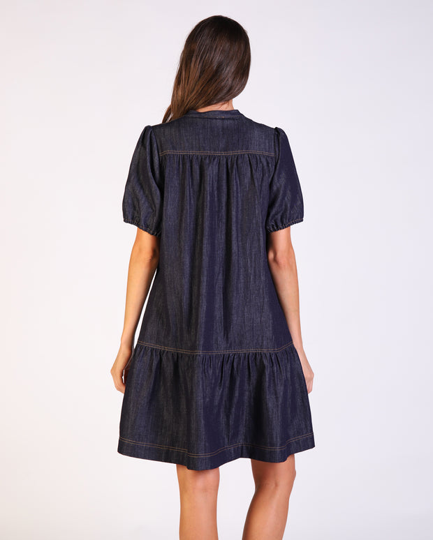 Tess Denim Dress